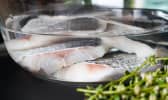 Techniques appliquées à la préparation des poissons