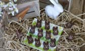 Des chocolats pour émerveiller les enfants