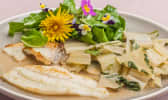 Cette semaine on met le turbot !