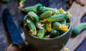 Le cornichon a tout bon !