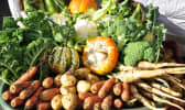Légumes d'automne sur les étals d'un marché