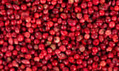 Poivre rouge séché