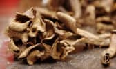 Trompettes de la mort en vrac