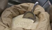 Graines de Quinoa
