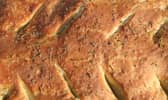 Gros plan sur une fougasse
