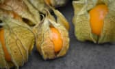 Fruits de Physalis