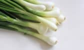 Oignons verts