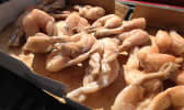 Cuisses de grenouilles en vrac