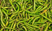 Haricots verts