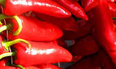 Piment d'Espelette