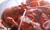 Langoustes bouillies