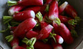 Radis