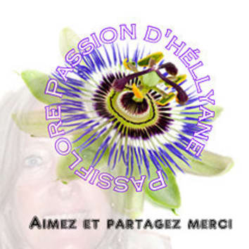 Passiflore passion d'héllyane