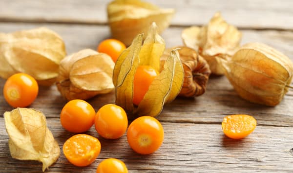 Le physalis