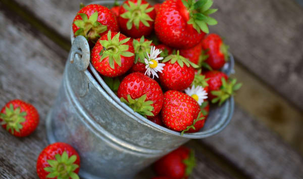 Les fraises