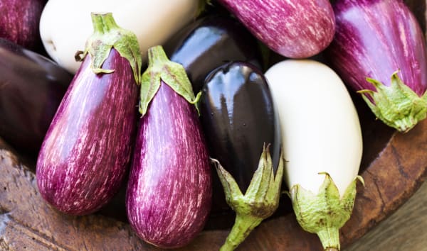 Les aubergines