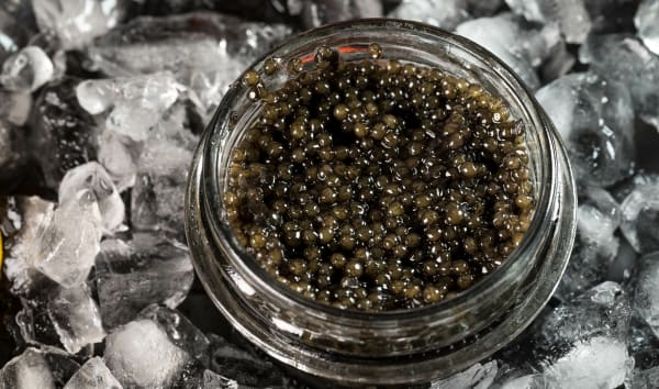 Choisir et déguster le caviar