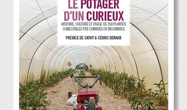 Le potager d'un curieux