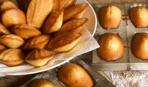 Les meilleurs moules pour faire des madeleines maison - 31m2