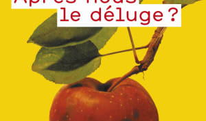 Après nous le déluge ?