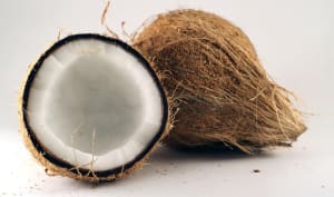 La noix de coco