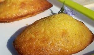 A la Ste Clotilde, de fleur en buisson, abeille butine à foison A la Ste Clotilde, de fleur en buisson, abeille butine à foison