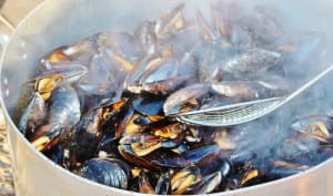 La moule de bouchot, la reine des bivalves