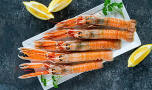 La langoustine