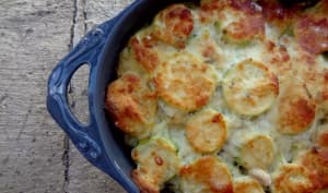 Rondes de Nice ou Grisettes de Provence, on aime les courgettes