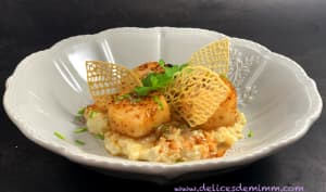 Les coquilles saint-jacques sont de retour !