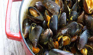 Curry de moules