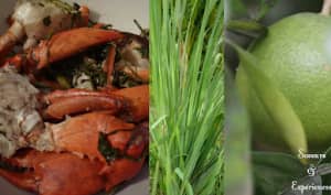 On en pince pour les crabes !