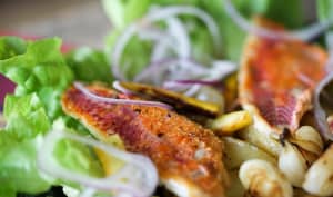 Filets de rougets à la plancha