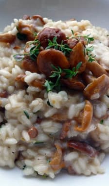 Risotto aux chanterelles