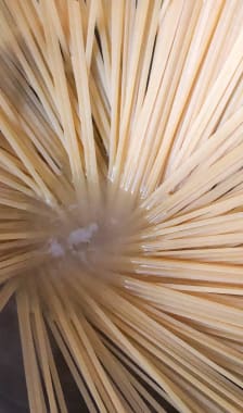 Spaghetti