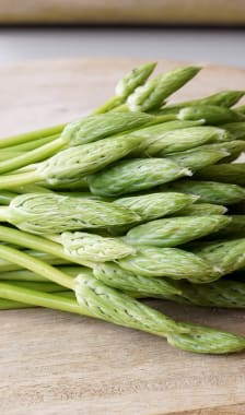 Botte d'asperges des bois ou Ornithogale des Pyrénées