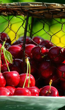 Confiture de cerises