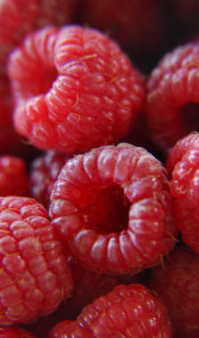 Framboises