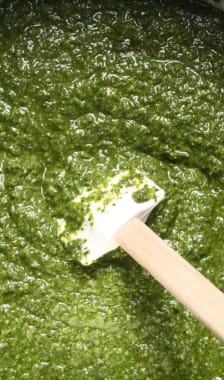 Sauce Pesto