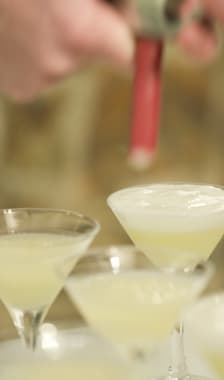 Verres de cocktails gin fizz