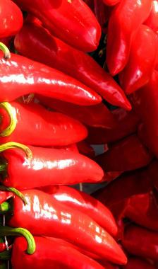 Piment d'Espelette