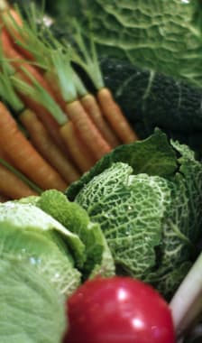 Assortiment de légumes frais