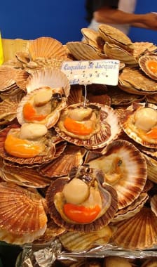 Coquilles Saint-Jacques de noël