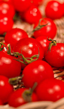 Tomates cerises