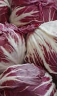 Radicchio
