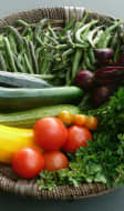 Panier de légumes variés