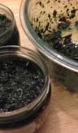 Terrine du pêcheur à la spiruline, choux de Bruxelles et ail des ours