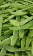 Haricots plats frais dans un saladier
