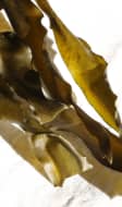 Kombu