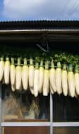 Vente de radis blanc sur un marché chinois.